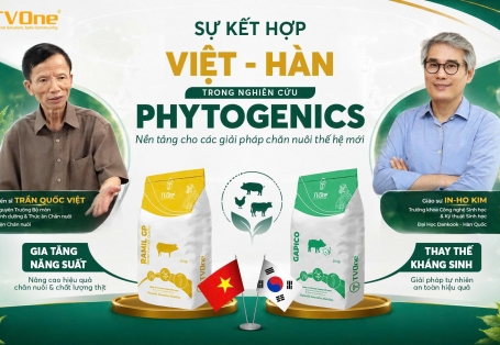 [Người Chăn Nuôi] Sự kết hợp Việt – Hàn trong nghiên cứu Phytogenics: Nền tảng cho các giải pháp chăn nuôi thế hệ mới